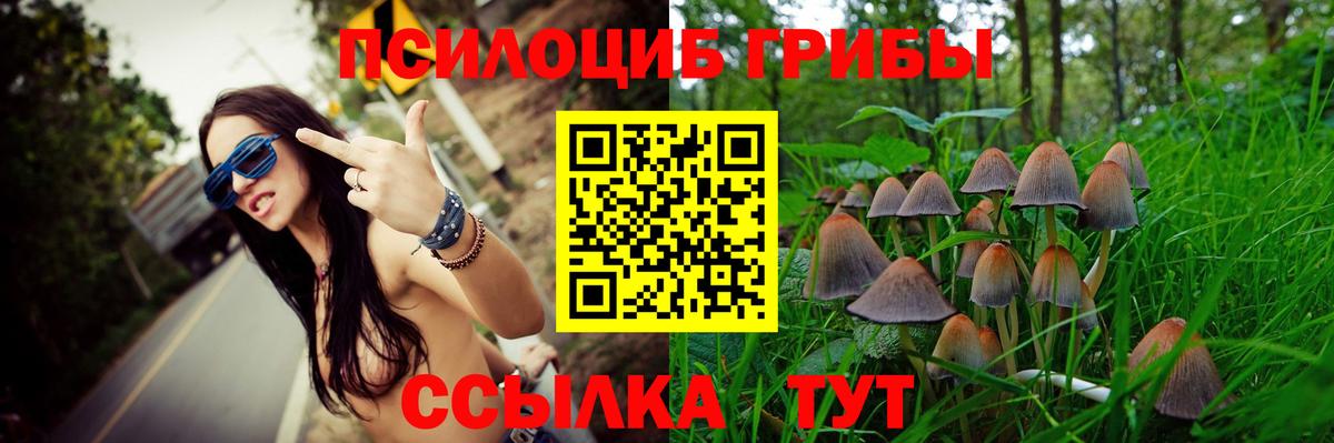 Галлюциногенные грибы Psilocybe Пенза