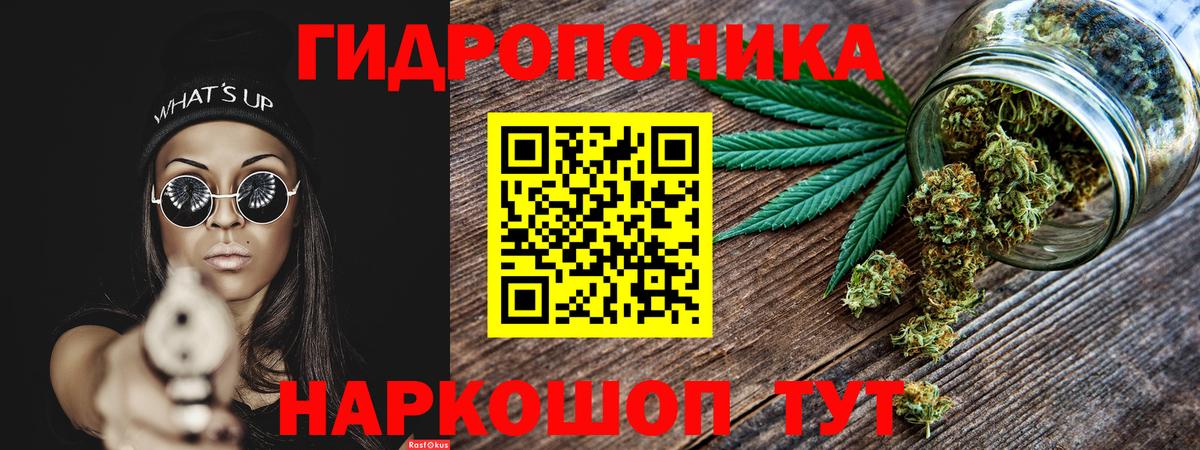 Шишки марихуана Amnesia Пенза